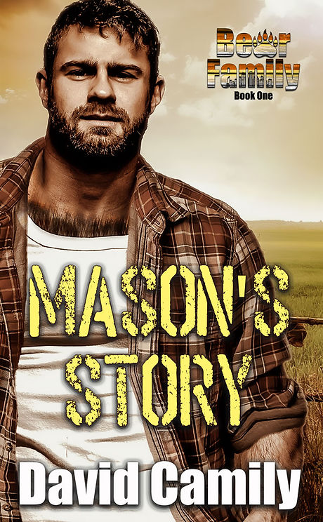 Masons-Story-EBOOK-ONLY-600-Promo-Size.jpg