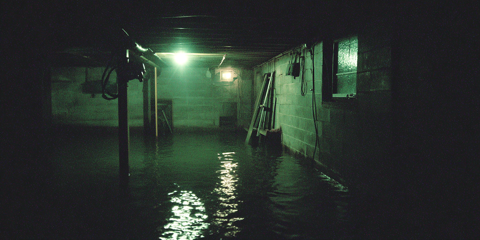 👹 The Tree Town Terror | October