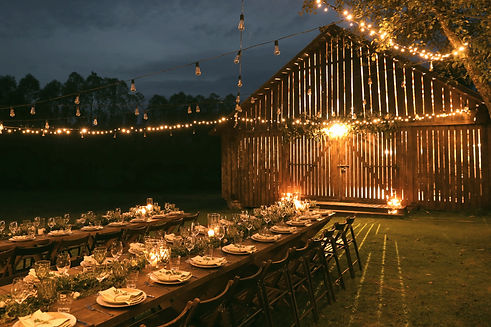 Outdoor Night Event_edited_edited.jpg