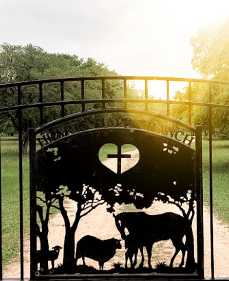 gate_edited_edited.jpg