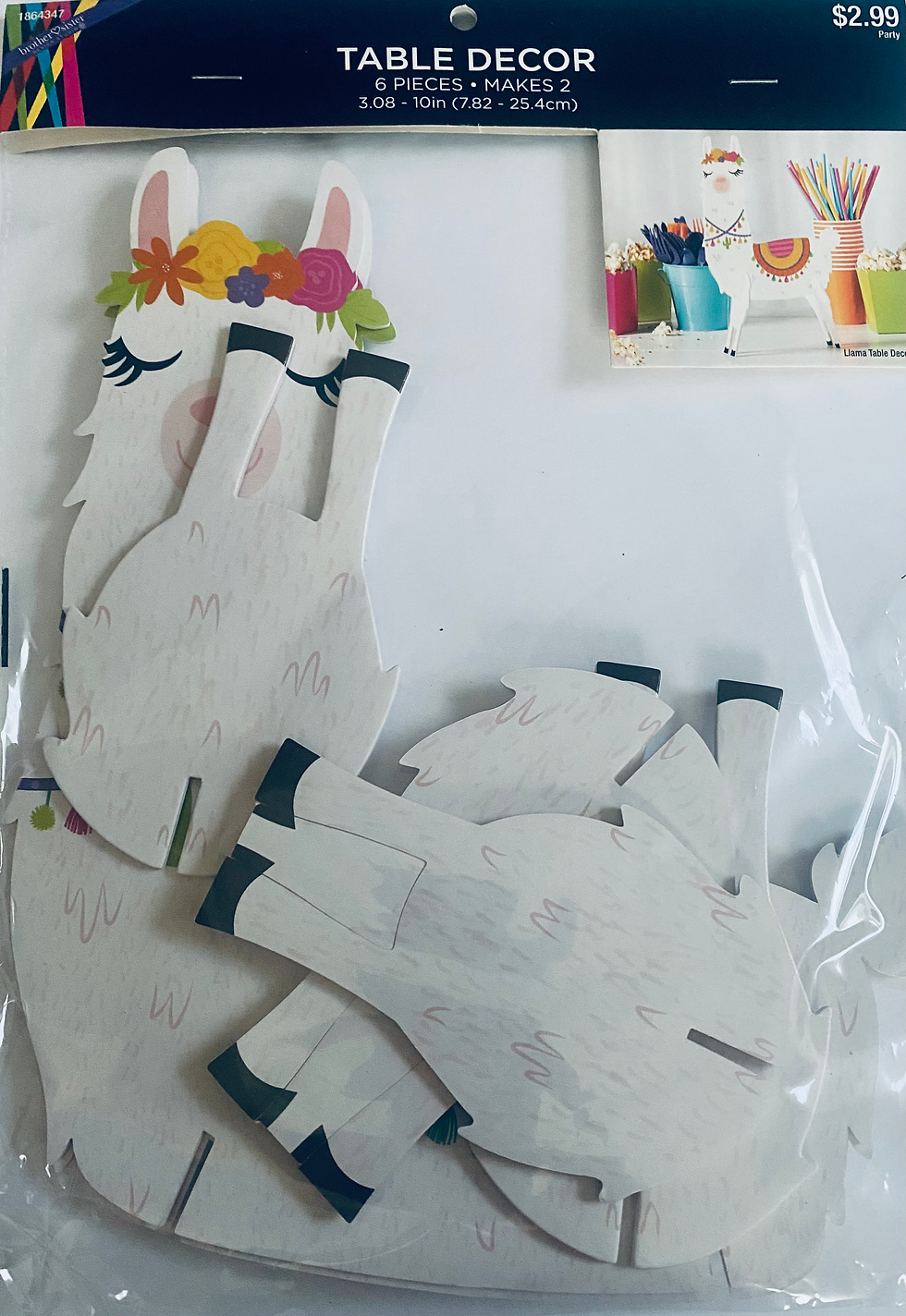 Thumbnail: Brother Sister Llama Birthday Party Supplies