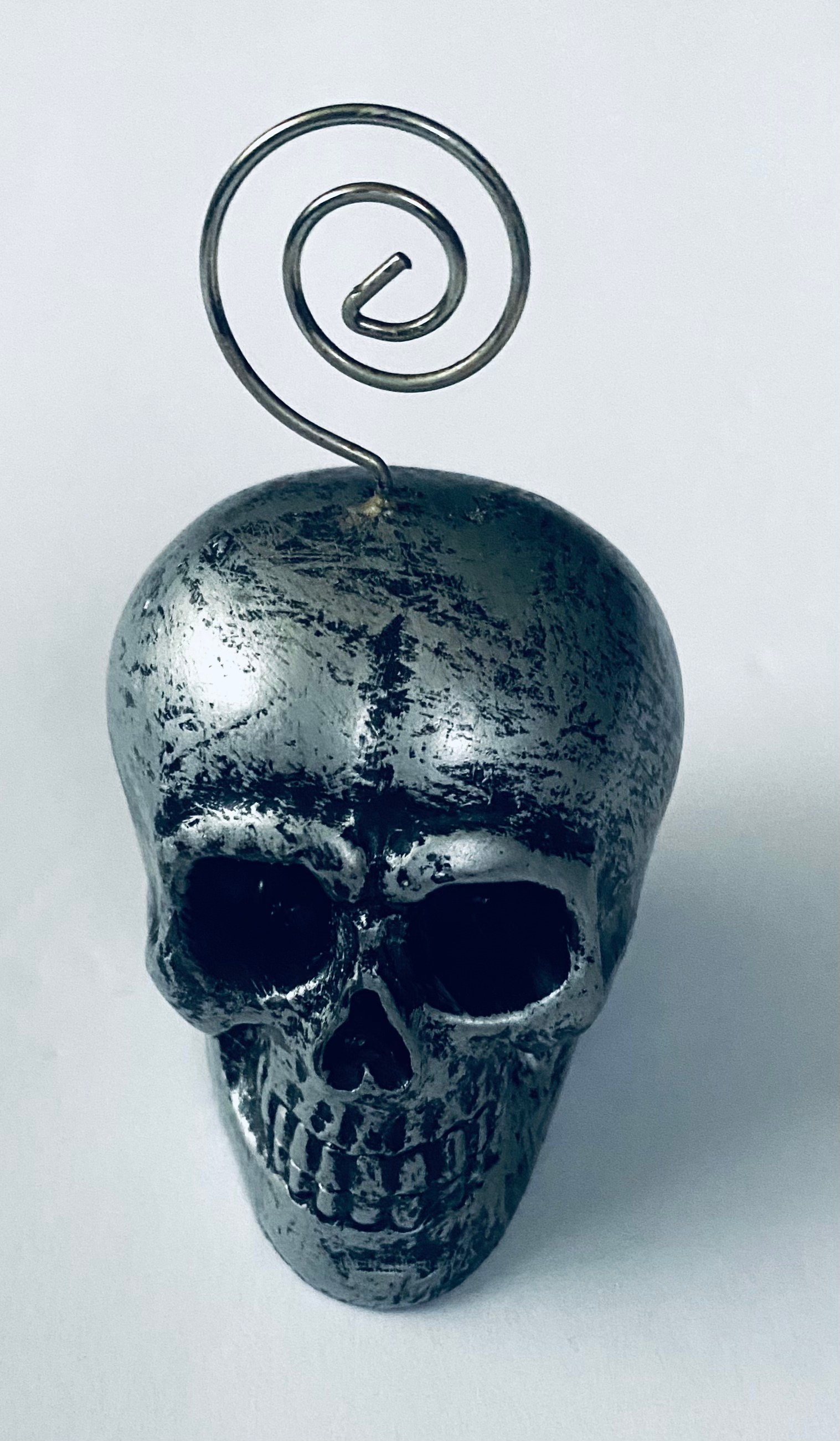 Skull Picture Holder 