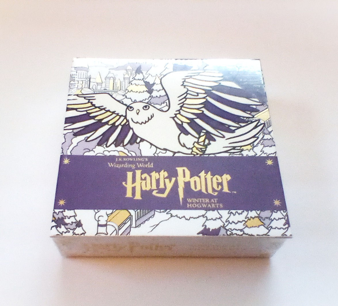 Harry Potter Winter at Hogwarts Magical Coloring Gift Set