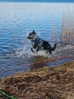 Digga unser Bademeister