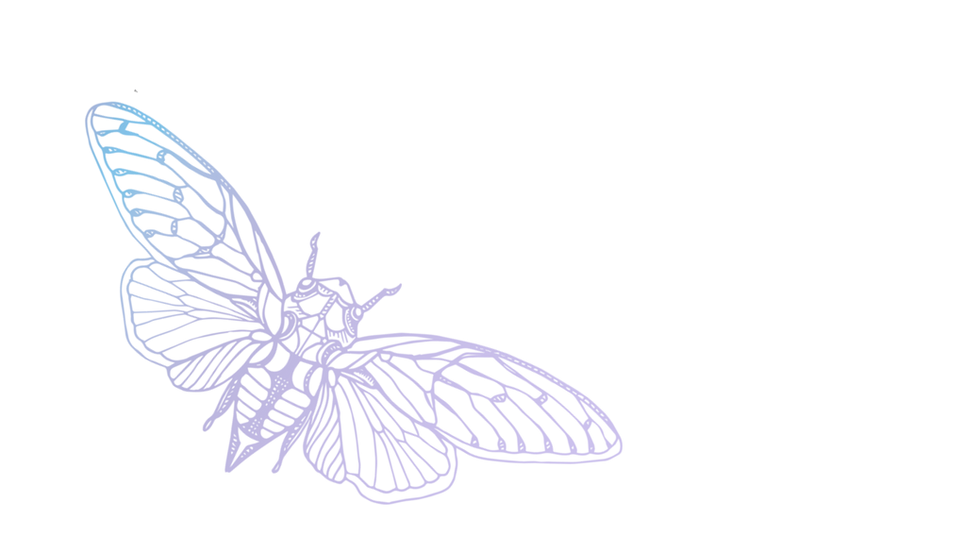 transparent_background (16 x 9 in) (5).png