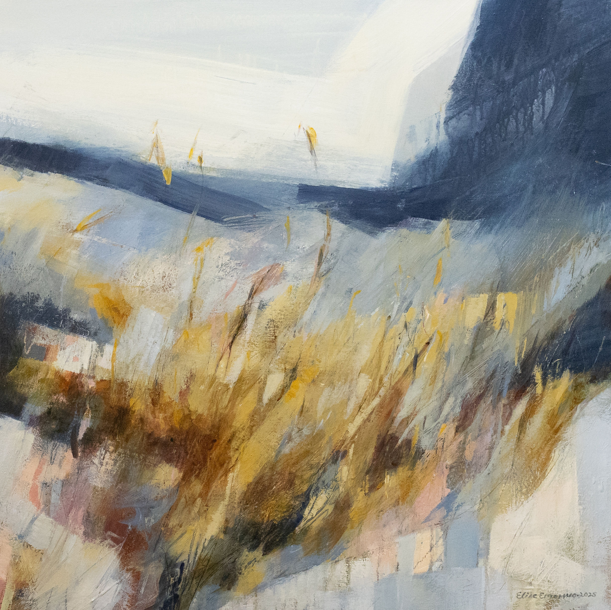 Bushveld winter’s bouquet