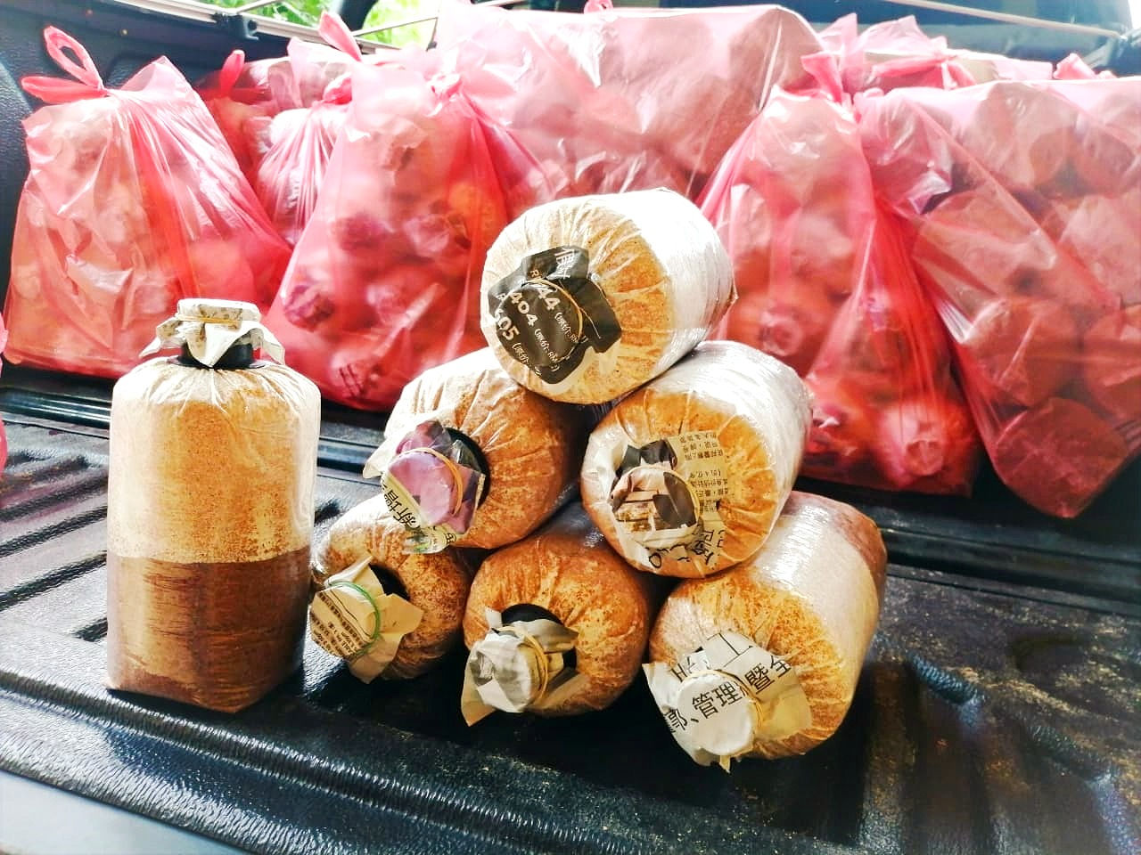 Bongkah Cendawan