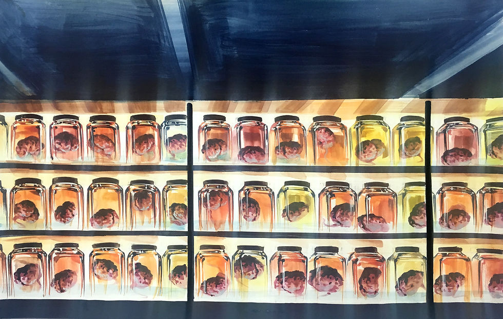 Preserved Disease, Sangah Lee, Groton School (Gold Key)