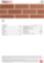 Red Technical Details.png