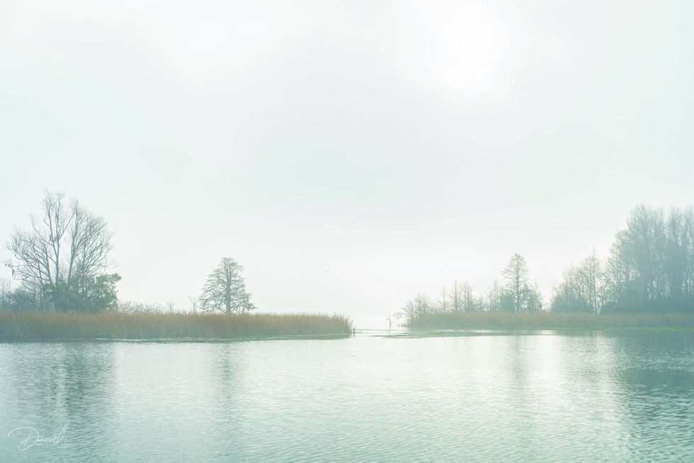 Lake Moultrie-10