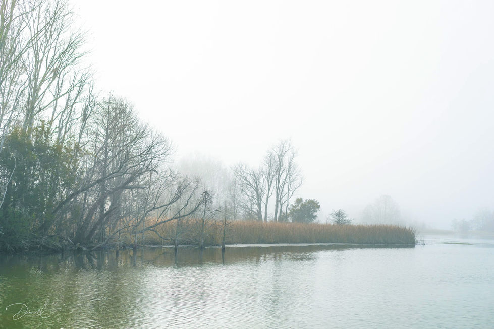 Lake Moultrie-8