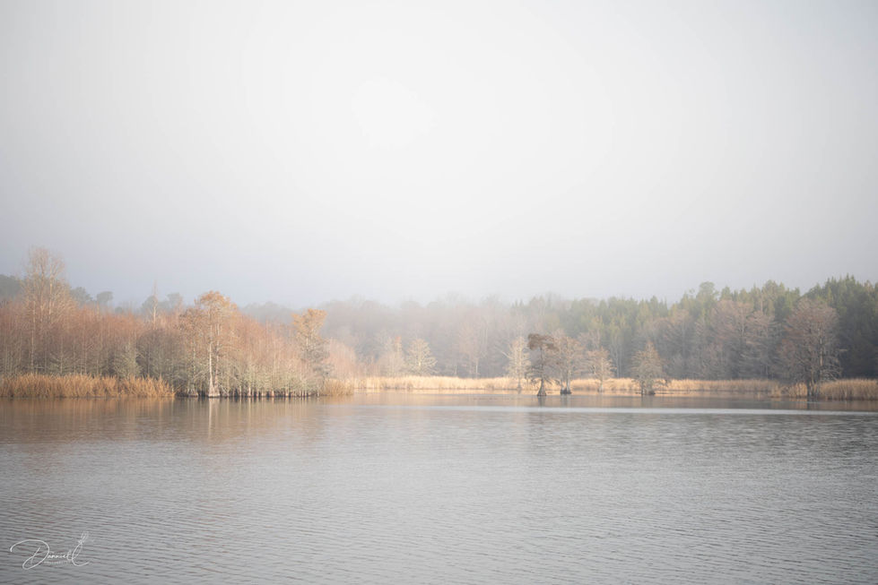 Lake Moultrie-21