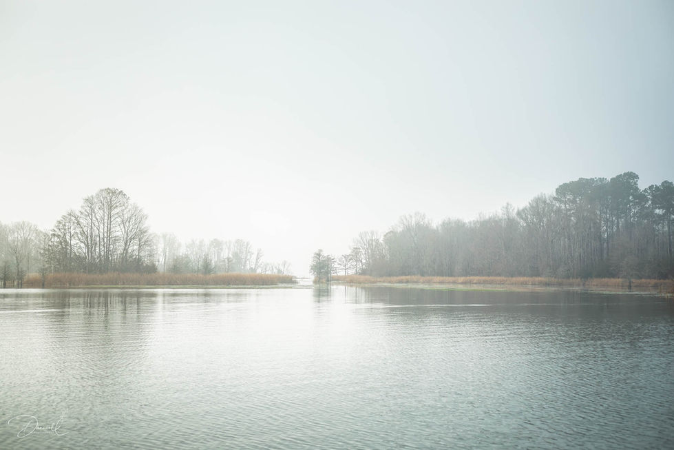 Lake Moultrie-19