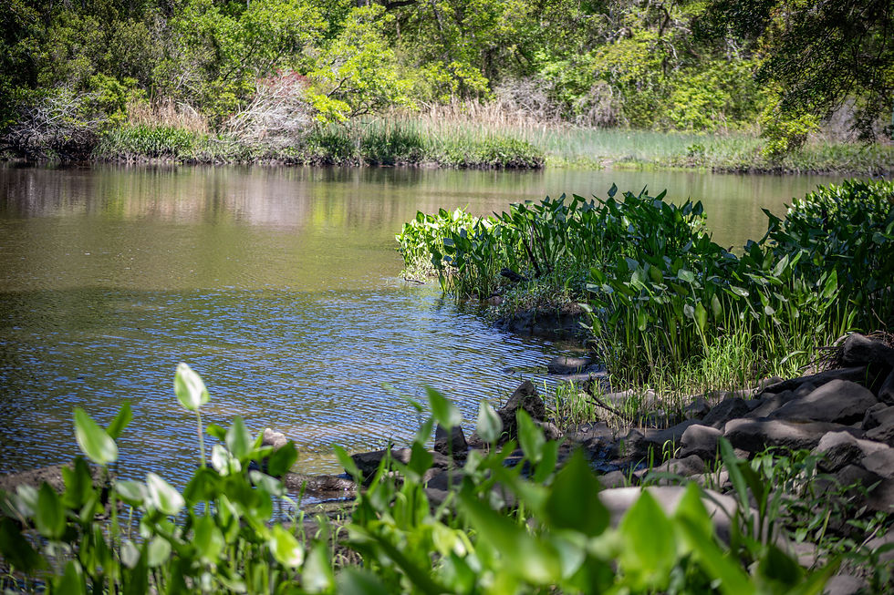 River Side