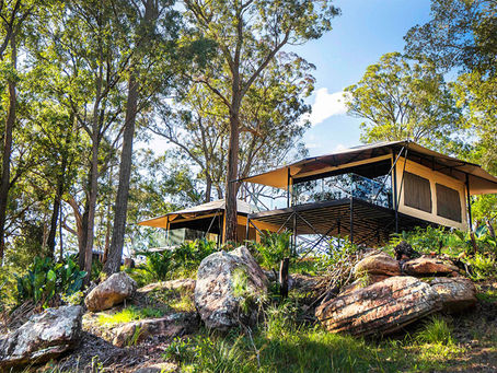 Design Your Dream Glamping Resort with Expert Consultancy