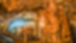 cropped-shutterstock_580475509-1.jpg
