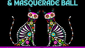 Foxys Catfight Regatta