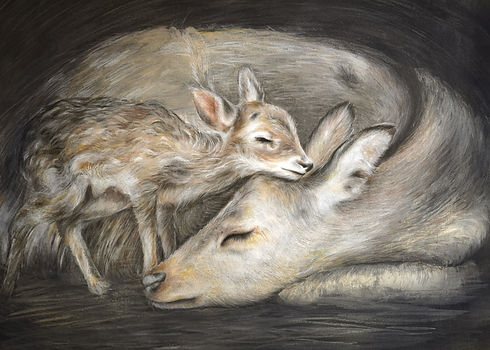 my deer love.jpg