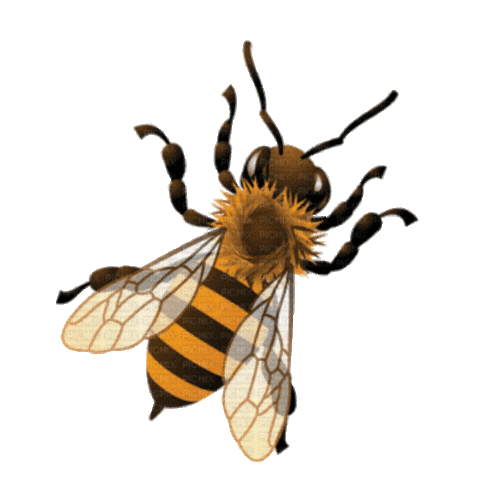 Advent Calendar Gold (2).gif