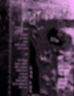 Night Visions
