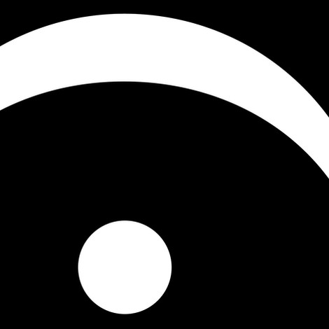 BirdsEye Logo