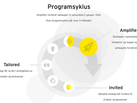 EYs akseleratorprogram