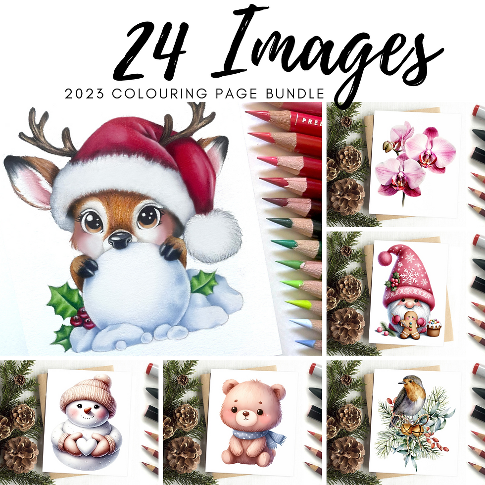 2023 Coloring Page Bundle Kit And Clowder 2023 Coloring Page Bundle Kit And Clowder