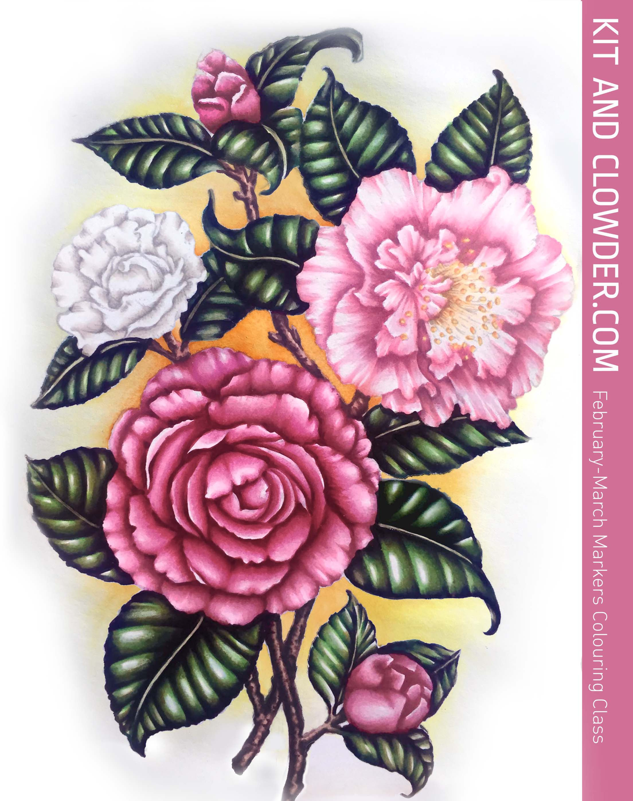 Monthly Class - February 17 Markers