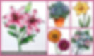Thumbnail: Elements of Nature Technique Class