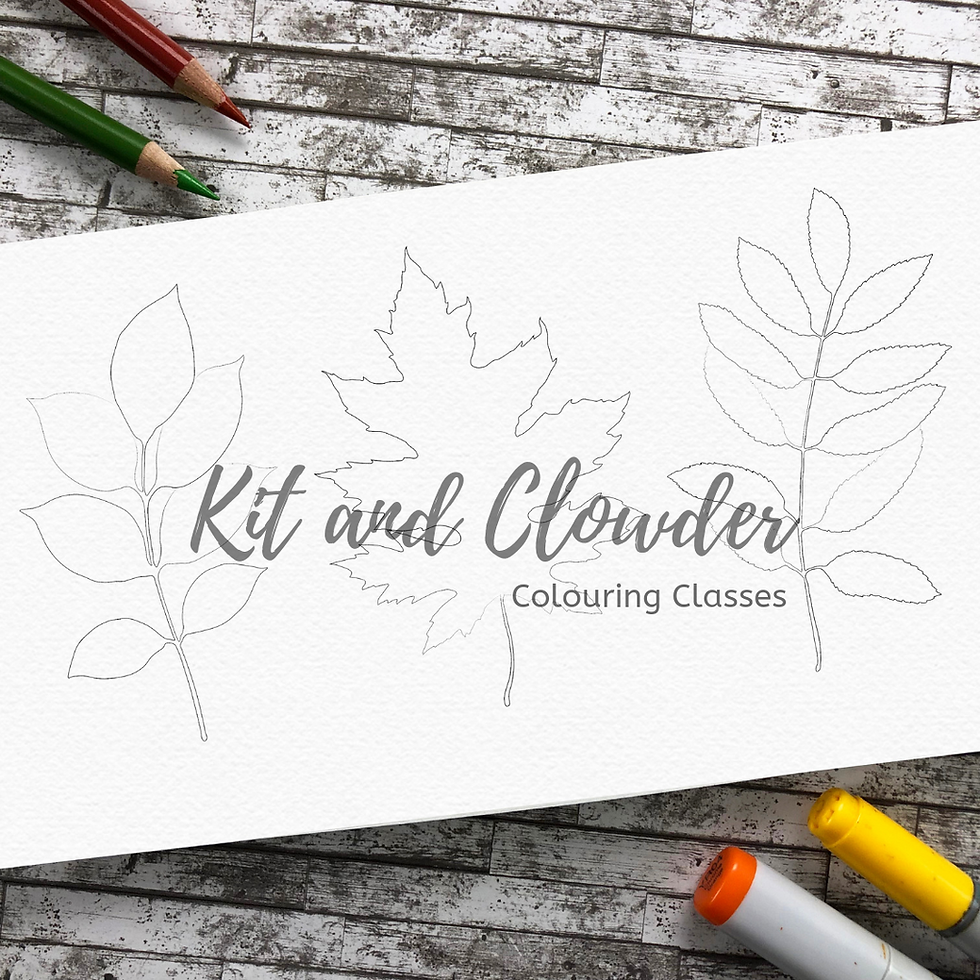 Clowder Drawing Kit and Clowder Online Coloring Classes for Markers, Copic, Pencils