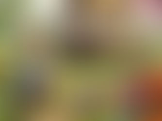 Osterrally 2026: die Eier sind los!