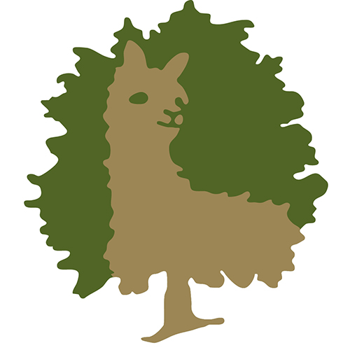 Autorenbild: PR Lindenboden