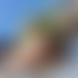 Digitale Auswahlhilfe für Balkonkastenhalter – ohne Rätselraten!