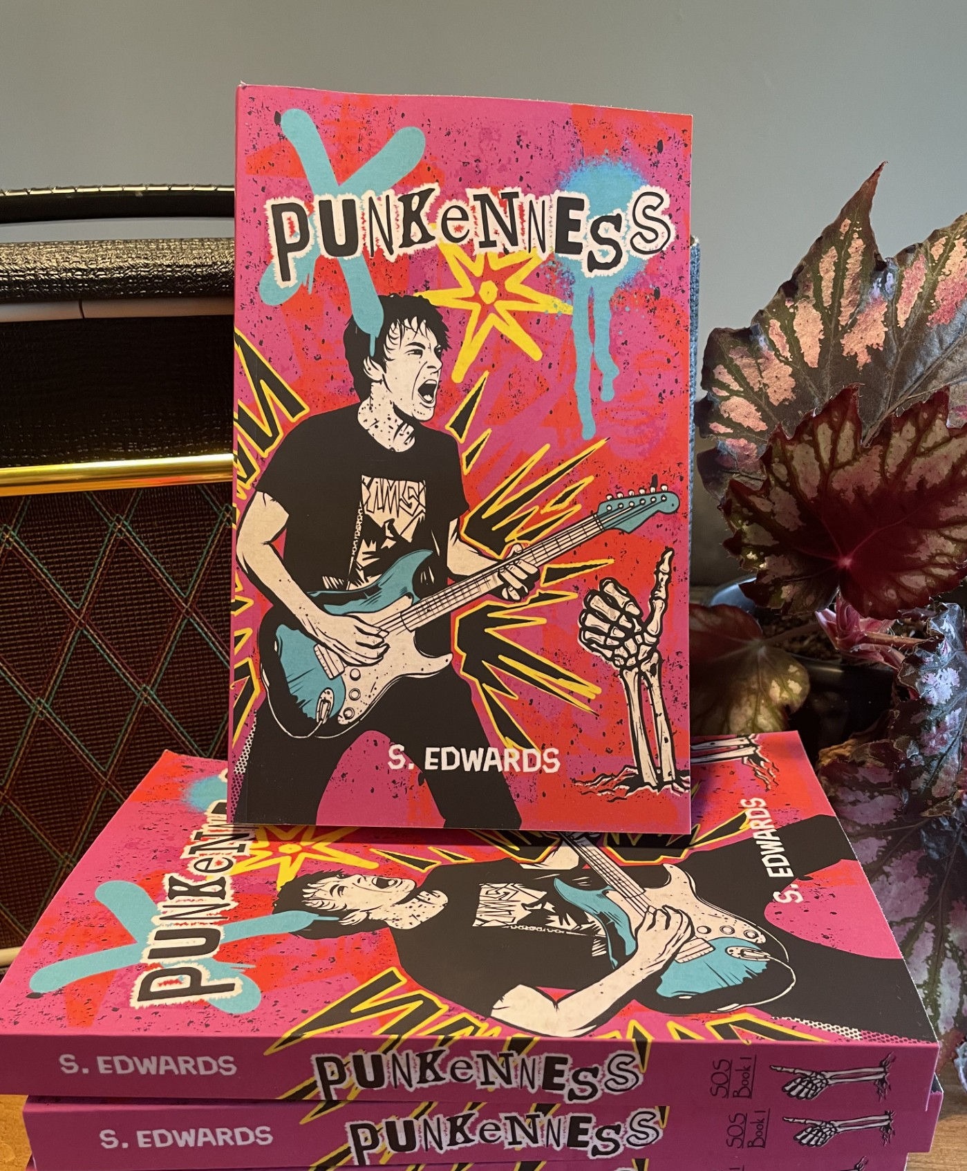 Punkenness Paperback
