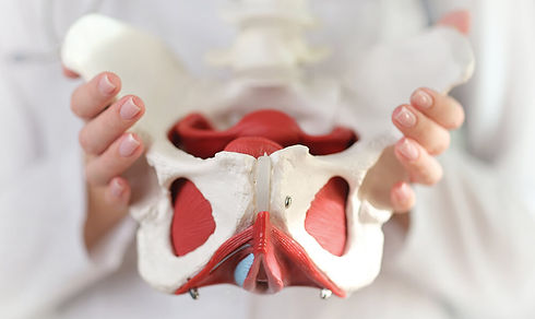 PelvicFloor.jpg