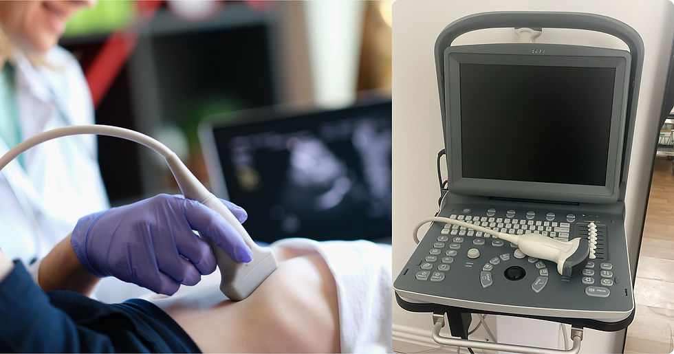 Point-of-care ultrasound used in pelvic health physiotherapy assessment