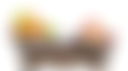 Recomendaciones Nutricionales para Obesidad