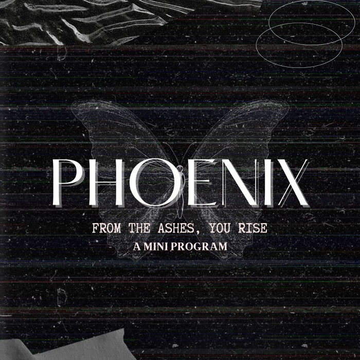Phoenix ⨀