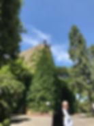 Walking in the footsteps of Michelangelo : The Vatican Gardens, Rome.