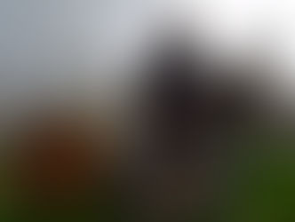 Confesiones de un guía turístico en Dublín: ¡Estrenando año, estrenando blog! ¿Estrenando tours?