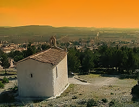 Paysage d’oliviers à La Fare-les-Oliviers