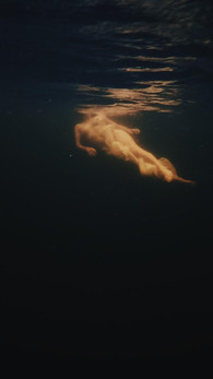 The Adventurous Images