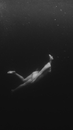 The Adventurous Images