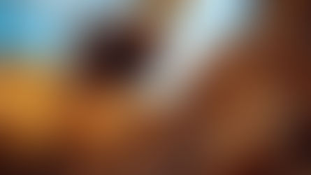 הוצאות פיתוח בהרחבה במושב - החובה הבלתי צפויה שנחשפה במושב הבונים