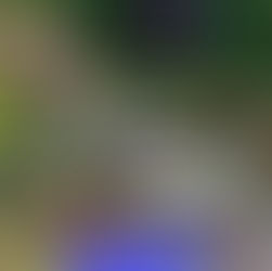 Unveiling for T.J. Maxx