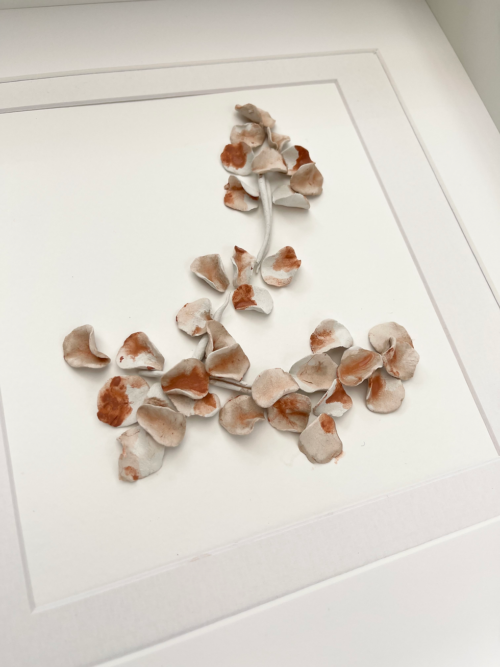 Thumbnail: Organic Studies - Red Eucalyptus