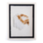 Gurney_Indice_01