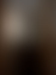 In The Woods: Project Reveal