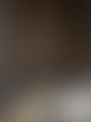 A Forward View: Studio Intentions for 2026