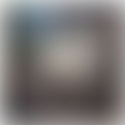 L'histoire du Palais des Tuileries